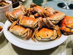 -佬肥猫(七宝宝龙店)