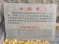 -常熟方塔园
