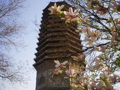 -玲珑塔公园