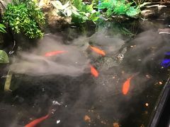 -映像威海·威海宴(威高广场店)