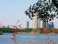 -飞来湖湿地公园