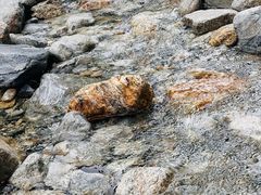 -陕西省红河谷森林公园