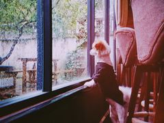 -微饮cafe