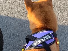 -黎阳老街