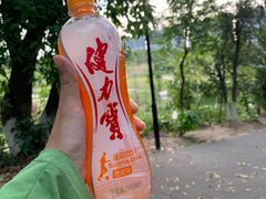 -中山市树木园