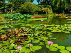 -国家植物园南园