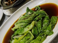 -老绍兴养和饭店(向阳不夜城店)