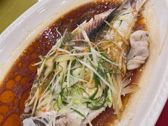 清蒸西江边鱼-胜记菜馆(文明路)