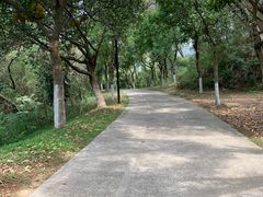 -燕晗山郊野公园