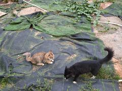 -顺德哥卜卜贝(旗舰店)