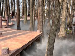 -东湖落雁景区