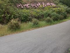 -李小龙乐园(顺德均安店)