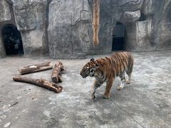 -南昌动物园