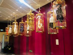 -悦江(梅奔中心店)