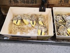 -HIHE Bistro·Oyster Bar(华熙live店)