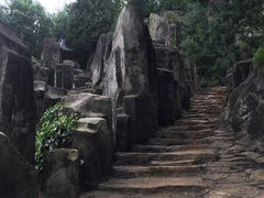 -长虫山生态公园风景林