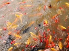 -泰安地下龙宫景区