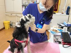 -北京观赏动物医院·24小时大型综合·猫专科·异宠专科
