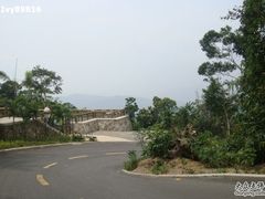 4-三亚亚龙湾人间天堂鸟巢度假村
