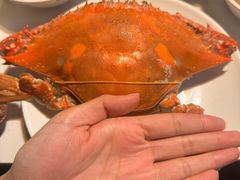 -九月海·海鲜自助(世纪东方店)