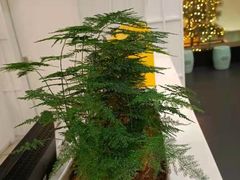 -御仙都北京菜馆·烤鸭店(双井店)