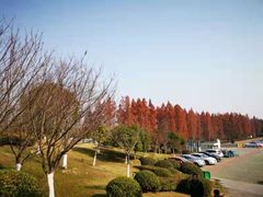 -天目湖山水园