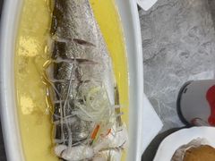 -老绍兴养和饭店(向阳不夜城店)