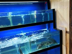 水产区-李东农庄(中南百草园地标店)