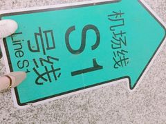 -大塘金香草谷