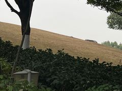 -重庆园博园