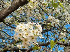 -盘龙城国家考古遗址公园