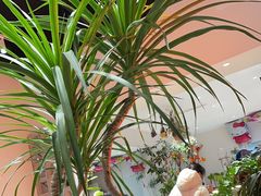 -seeu coffee(江滩店)