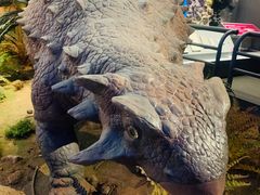 -贝林大翅鲸简餐厅(国家海洋博物馆店)