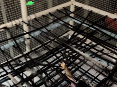 -嗨马乐动室内潮玩运动·团建·轰趴·桌游(南丰汇店)