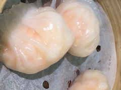 -添好运点心专门店(北角店)