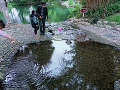 -成都市活水公园