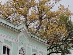 -龙环葡韵住宅式博物馆