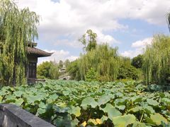 -韩湘水博园