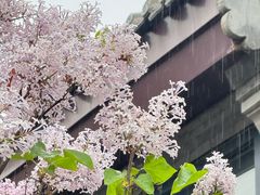-三里河公园
