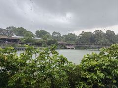 -河川生态园