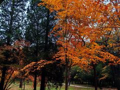 -国家植物园南园