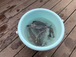 -小蜜蜂农场(凯德七宝购物广场店)