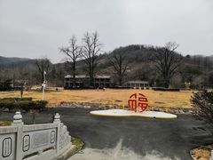 -千年银杏谷文化旅游区