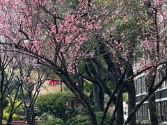 -上海延安饭店