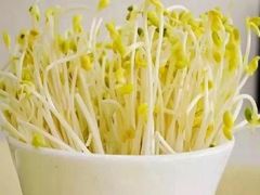 豆芽-汤好喝·昭通天麻竹荪火腿鸡