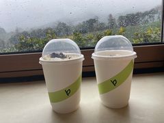 -白茶原·一片叶子