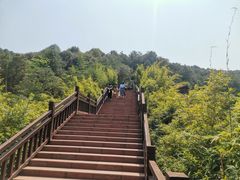 -铁山坪森林公园