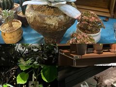 -瑞虹新天地月亮湾
