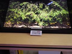 -Sony Store 索尼(上海淮海中路店)