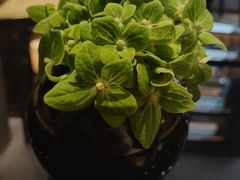 -行者书屋大堂吧 ·下午茶(南京圣和府邸酒店)